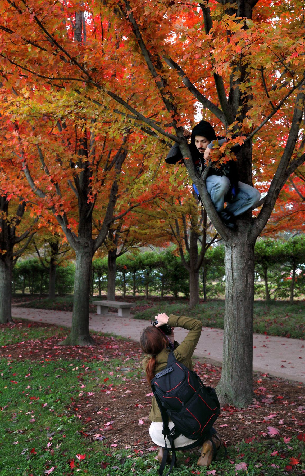 Fall color around St. Louis
